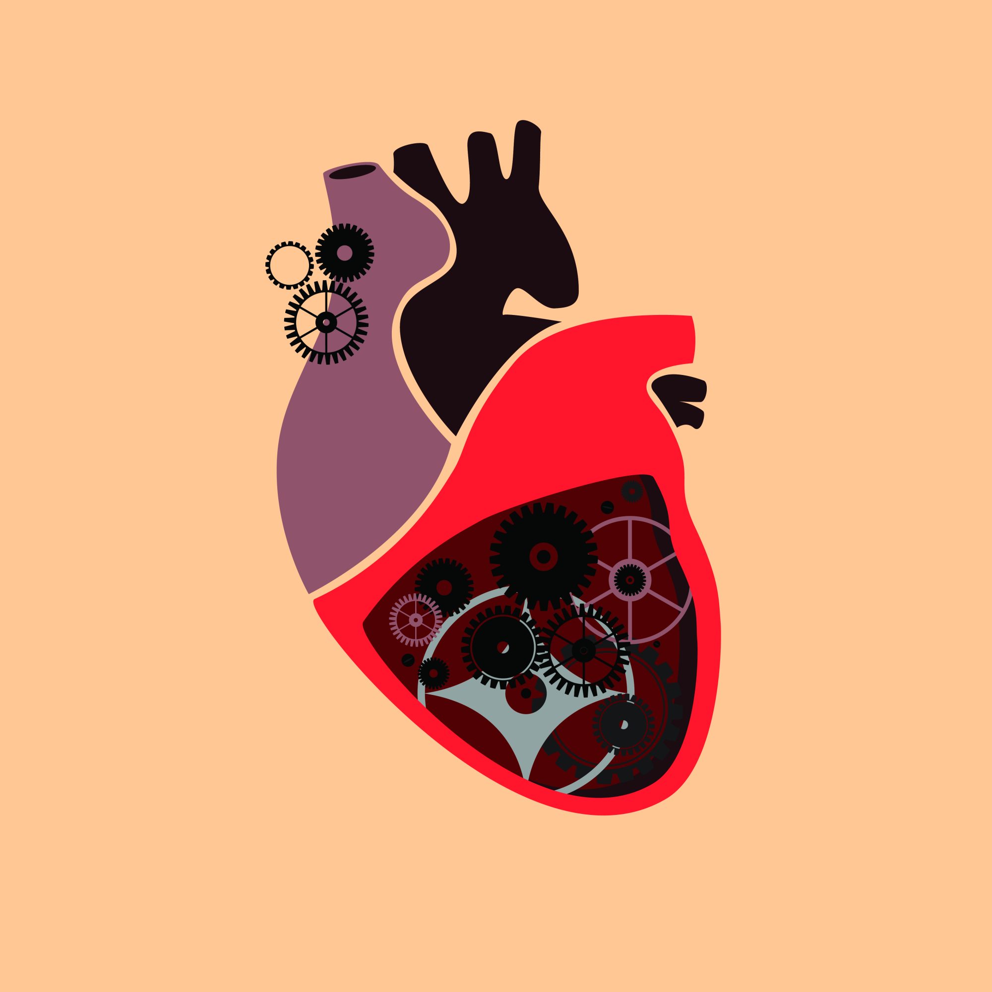 Featured image for “FEVS, fractia de ejectie a ventriculului stang”
